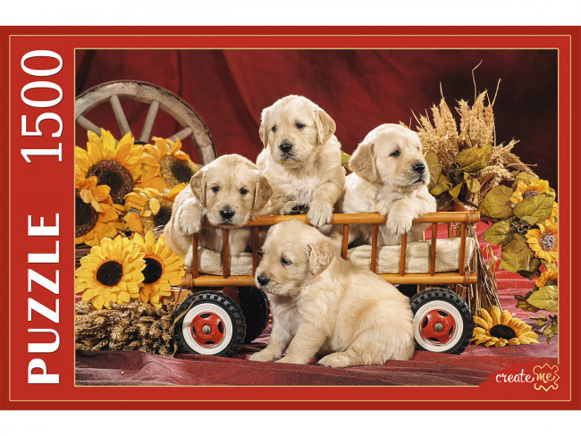 Пазлы 1500 элементов "Щенки и подсолнухи", Рыжий Кот/КБ1500-2647