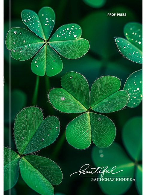 Записная книжка А6 48л клетка "Счастливый клевер", 7БЦ, сшивка, Проф-Пресс/48-7098 (40)