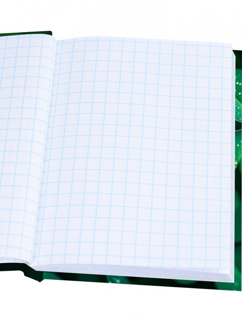 Записная книжка А6 48л клетка "Счастливый клевер", 7БЦ, сшивка, Проф-Пресс/48-7098 (40)