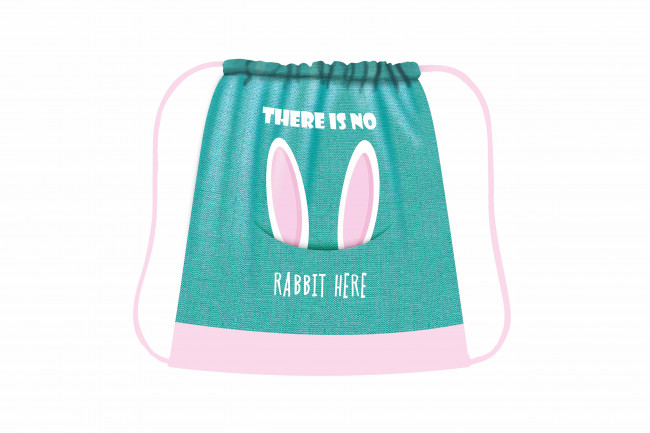 Сумка для сменной обуви цветная, ткань, дизайн 420/340 (50) (СДС-3, УШКИ 2022), СДС-3