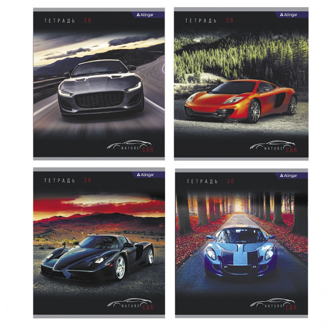 Тетрадь А5 36л клетка "Nature Car" скрепка, мелованный картон, AL10358 (12/72)