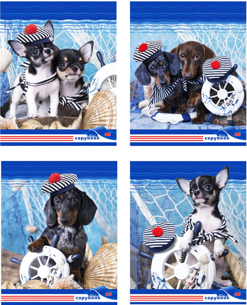 Т5ск48 3971 Тетрадь ученическая 48 л. в клетку "Пушистые морячки" (ассорти) (BG) (10/80) Т5ск48 3971 Тетрадь ученическая 48 л. в клетку "Пушистые морячки" (ассорти) (BG) (10/80)