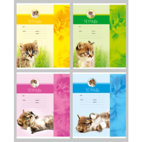Тетрадь ученическая 12 л. в клетку "Кис-кис!" (ассорти) (20/240)