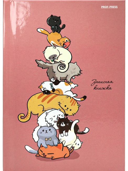 Записная книжка А6 64л клетка "Башня", 7БЦ, склейка, Проф-Пресс/64-6706 (40)