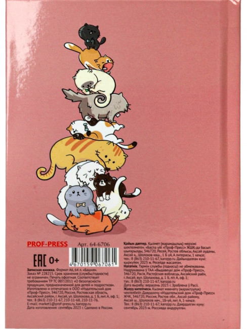 Записная книжка А6 64л клетка "Башня", 7БЦ, склейка, Проф-Пресс/64-6706 (40)