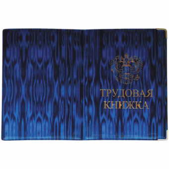 Карман для проездного документа, 7,5*10 см, ПВХ, прозрачный, ДПС, 1374.250