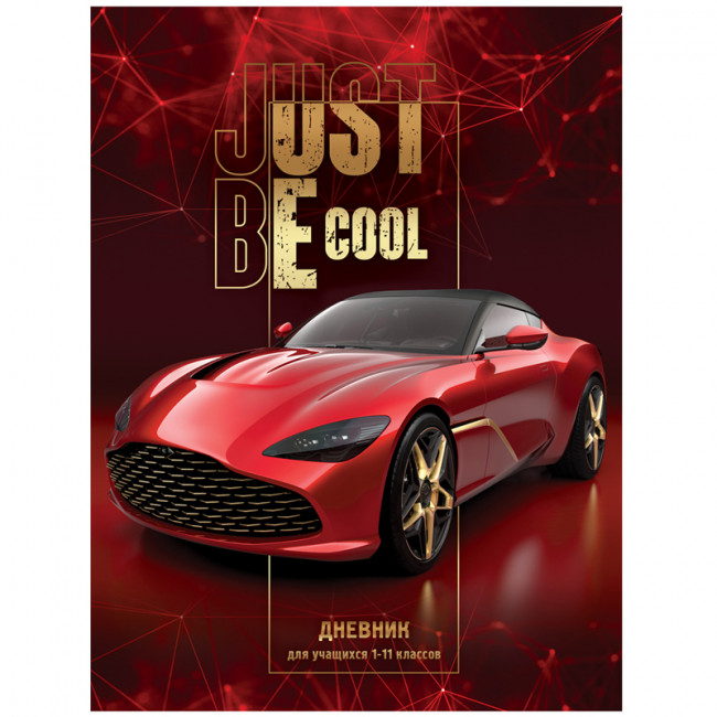 Дневник 1-11 кл. 48л. (твердый)  "Просто круто", глянцевая ламинация, BG (3/15)