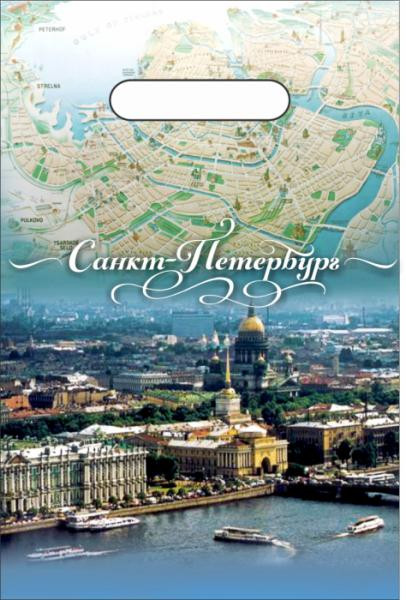 Пакет 20*30см 30 мкм "Панорама СПб" ПВД (100)