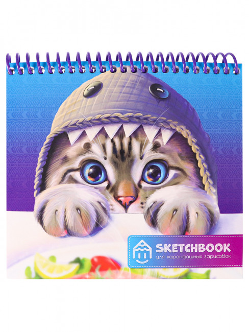 Скетчбуки А6+ для карандаш зарис Котёнок (спираль, гл лам,мяг.обл,жест подл,64л,60г) С64-5273 (60) Скетчбуки А6+ для карандаш зарис Котёнок (спираль, гл лам,мяг.обл,жест подл,64л,60г) С64-5273 (60)