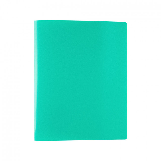 Папка А4 450 мкр 25 мм, на 4 кольцах, песок, зеленый, Premier Expert Complete/ЕС21101513 (4)