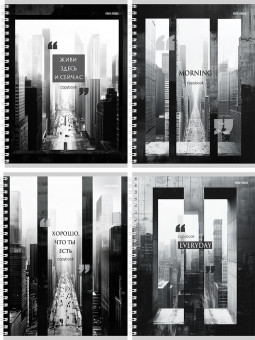 Тетрадь 80 клетка "Чёрно-белый мегаполис", на гребне, Проф-Пресс/Т80-4882 (4/48)