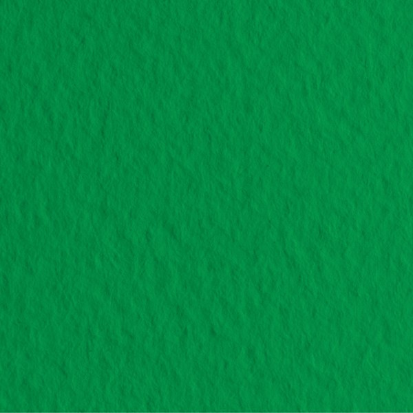 Бумага для пастели А4 "Tiziano" 160 г/м2, 50л, Травяной, Fabriano/21297112