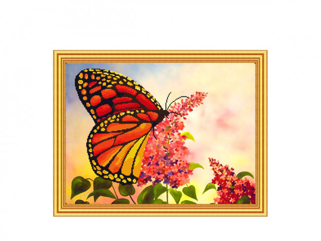 Картина 2 в 1: алмазная мозаика и раскрашивание по номерам 30х40 см ОРАНЖЕВАЯ БАБОЧКА, 1 дизайн, картонная упаковка