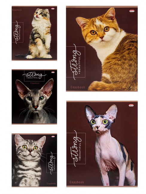 Тетрадь 48 клетка "Благородные кошки", скрепка, Prof-Press/48-9380 (5) Тетрадь 48 клетка "Благородные кошки", скрепка, Prof-Press/48-9380 (5)