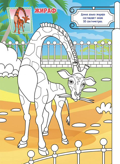 Раскраска (А4) РКСБ-700 Раскраска (А4) РКСБ-700