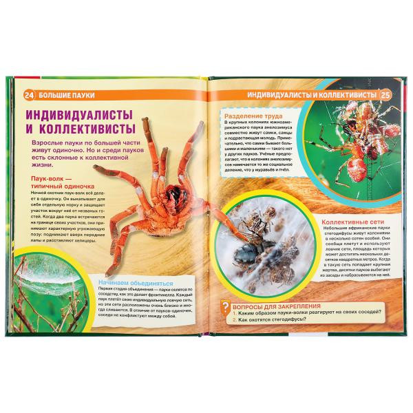 Энциклопедия с развивающими заданиями «Большие пауки». Формат: А4 48стр, Умка Энциклопедия с развивающими заданиями «Большие пауки». Формат: А4 48стр, Умка