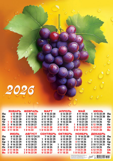 Календарь-плакат А2 2026г "Прекрасный виноград",  ПО-26-196