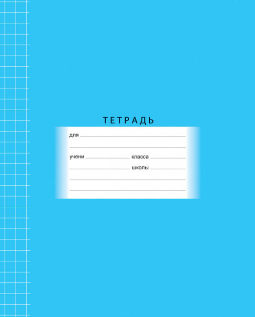 Тетрадь ученическая 12 л. в клетку"Школьная" (голубая) (20/240)