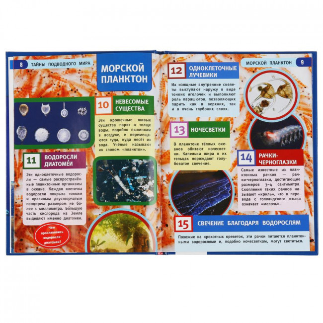 Энциклопедия с развивающими заданиями «Тайны подводного мира. 100 фактов». Формат: 165 х 215мм 48стр, Умка Энциклопедия с развивающими заданиями «Тайны подводного мира. 100 фактов». Формат: 165 х 215мм 48стр, Умка