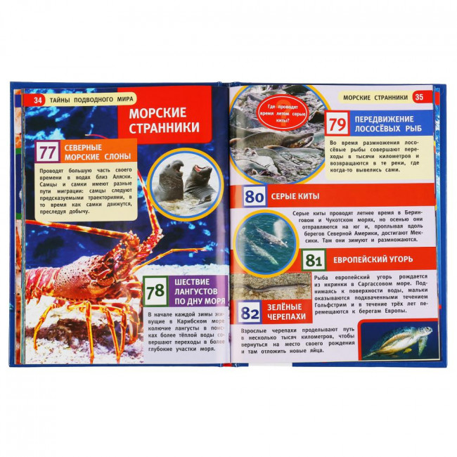 Энциклопедия с развивающими заданиями «Тайны подводного мира. 100 фактов». Формат: 165 х 215мм 48стр, Умка Энциклопедия с развивающими заданиями «Тайны подводного мира. 100 фактов». Формат: 165 х 215мм 48стр, Умка
