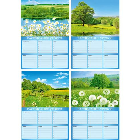 Расписание уроков А4 "Природа" (ассорти) вертикальное