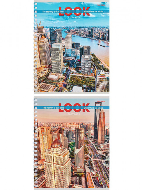 Тетрадь 48 клетка "Вид на мегаполисы", на гребне, Prof-Press/48-4540 (4) Тетрадь 48 клетка "Вид на мегаполисы", на гребне, Prof-Press/48-4540 (4)