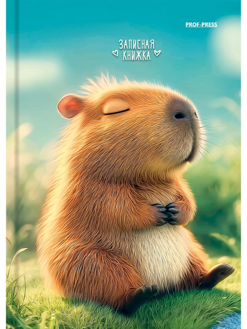 Записная книжка А6 64л клетка "Милая капибара -2", 7БЦ, склейка, Проф-Пресс/ЗК64-3029 (40)