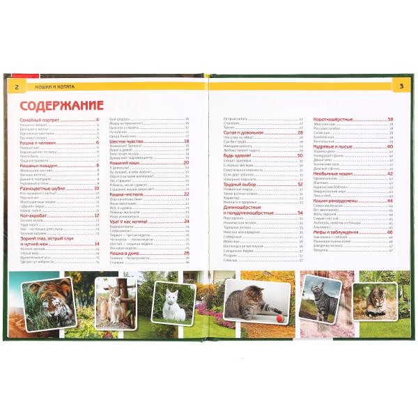 Энциклопедия с развивающими заданиями «Кошки и котята». Формат: А4 48стр, Умка