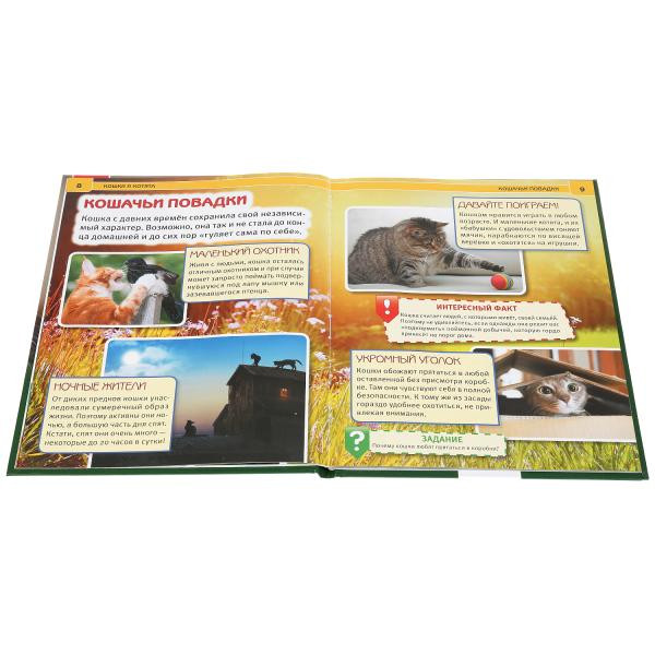 Энциклопедия с развивающими заданиями «Кошки и котята». Формат: А4 48стр, Умка