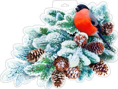 Плакат "Ветка еловая" р34-356