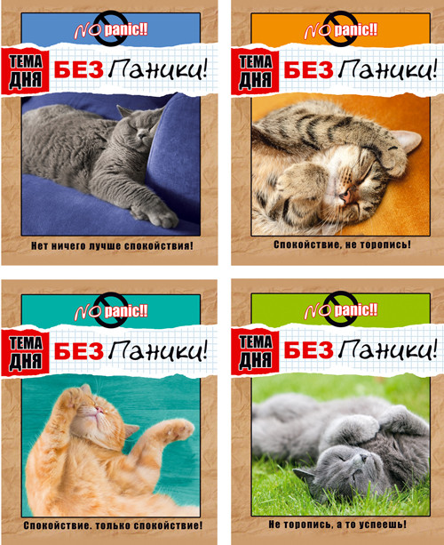 Т5ск48 5206 Тетрадь общая А5 скоба 48л. клетка "Без паники!" (ассорти) (BG) (10/80)