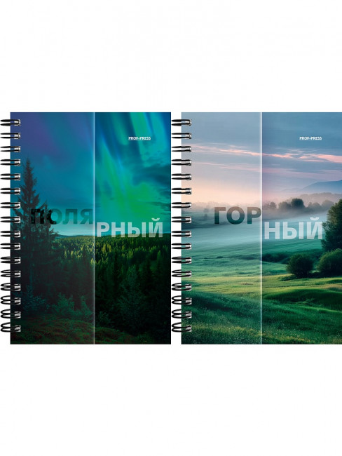 Записная книжка А6 120л клетка "Matte nature", на гребне, Проф-Пресс/ЗК120-3020 (20/80)