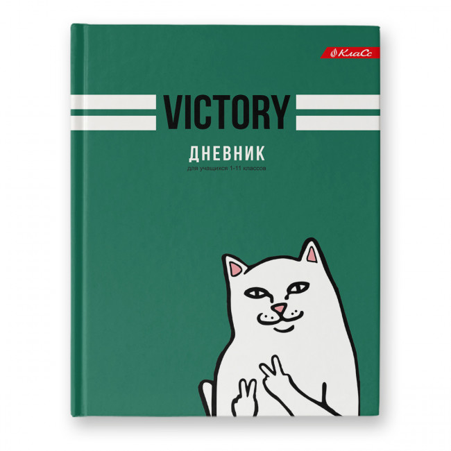 Дневник A5+ 40л 1-11 класс твердый переплет "Victory", Светоч (12)