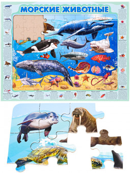 Пазл-рамка 60 элементов "Морские животные ", Рыжий Кот/П60-8739