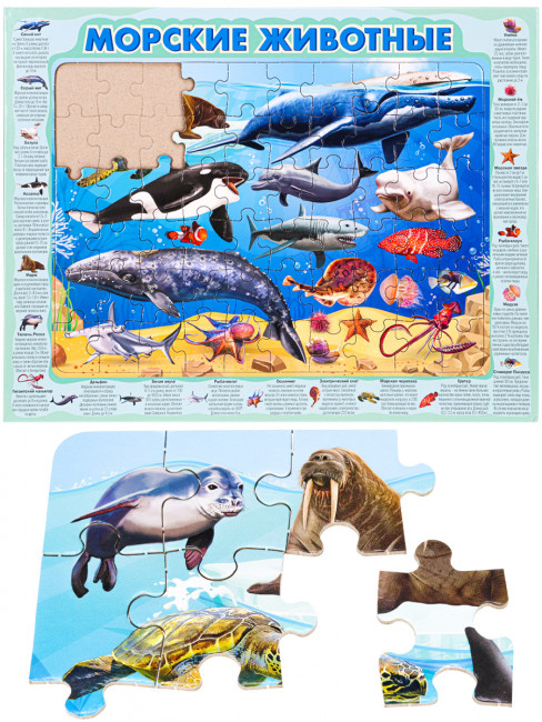 Пазл-рамка 60 элементов "Морские животные ", Рыжий Кот/П60-8739