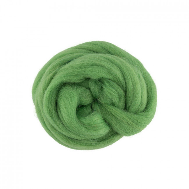 Шерсть для валяния 50г 100% полутонкая шерсть, зел.яблоко, Gamma/TFS-050 №0582