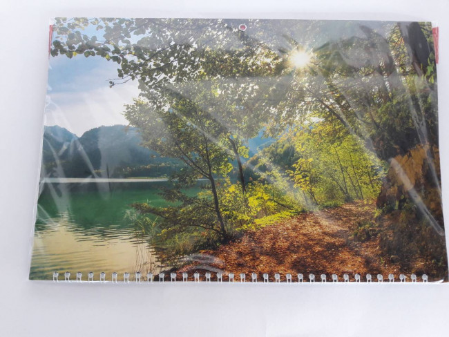 Календарь трио на гребне Сквозь ветви