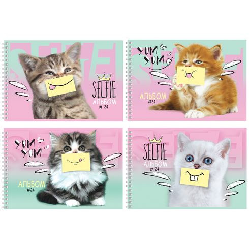 Альбом для рисования А4 гребень 24л. "Сat's selfie" (ассорти) BG (4/40)