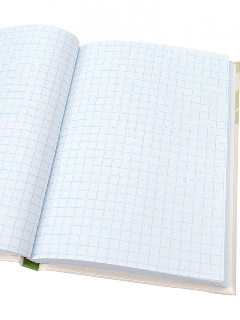 Записная книжка А6 80л клетка "Лягушки", 7БЦ, склейка, Проф-Пресс/80-3732 (20)