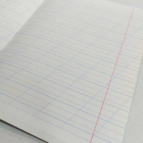 Тетрадь школьная А5 скоба 12л. две линии с наклонными, с дополнительной горизонтальной  "Cute" (ассорти) BG (16/160)