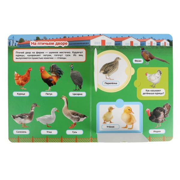 Развивающая энциклопедия с окошками «50 Домашних животных». Формат: 170х220мм 20стр, Умка