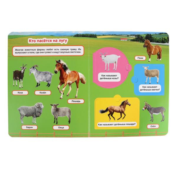 Развивающая энциклопедия с окошками «50 Домашних животных». Формат: 170х220мм 20стр, Умка