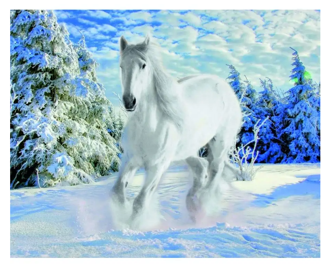 Алмазная мозаика 40*50 на подрамнике "Белоснежная грация", полная выкладка,  ALM043