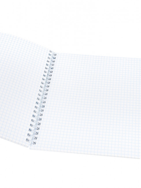 Тетрадь 48 клетка "Жабка", скрепка, Prof-Press/48-8350 (5)