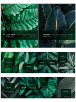 Комплект 10-ти предметных тетрадей 48л клетка/линия скрепка "Dark tropics", Проф-Пресс/48-4411 (10)