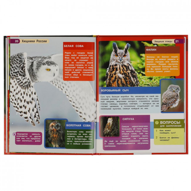 Энциклопедия с развивающими заданиями «Хищники России». Формат: 197х255мм 48стр, Умка