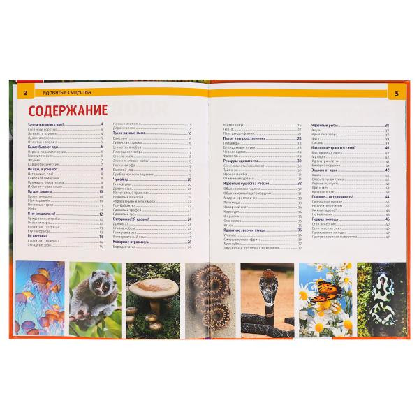 Энциклопедия с развивающими заданиями «Ядовитые существа». Формат: А4 48стр, Умка