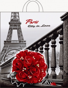 Пакет ПВД петлевой (40*42) 45 мкм "Город любви" (25)