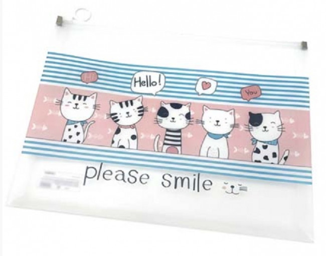 Папка на молнии А-4  CH-22 "Котики в шарфиках" прозрачный матовый пластик, с рисунком (12/12/480)
