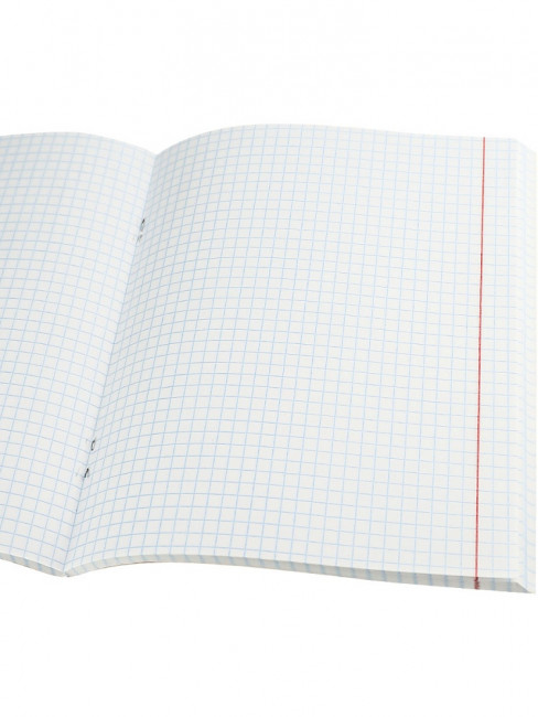 Тетрадь 96 клетка "Тема граффити" скрепка, Проф-Пресс/96-4324 (6/48)